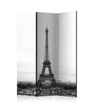 Pertvara  Paris black and white photography [Room Dividers]