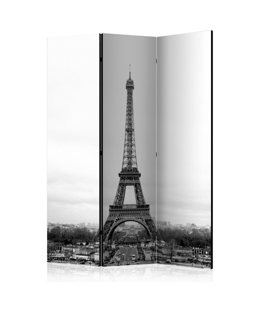Pertvara  Paris black and white photography [Room Dividers]