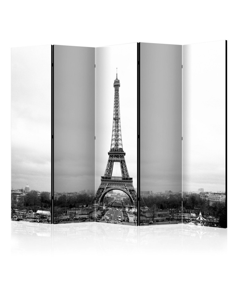 Pertvara  Paris black and white photography II [Room Dividers]