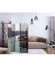 Pertvara  The Grand Canal in Venice, Italy [Room Dividers]