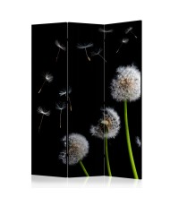 Pertvara  Dandelions in the wind [Room Dividers]