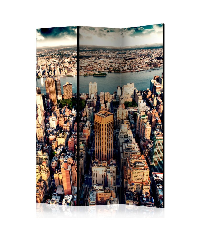 Pertvara  Birds Eye View of New York [Room Dividers]