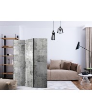 Pertvara  Concrete Grey City [Room Dividers]