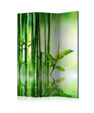 Pertvara  Bamboo Grove [Room Dividers]