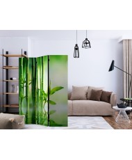 Pertvara  Bamboo Grove [Room Dividers]