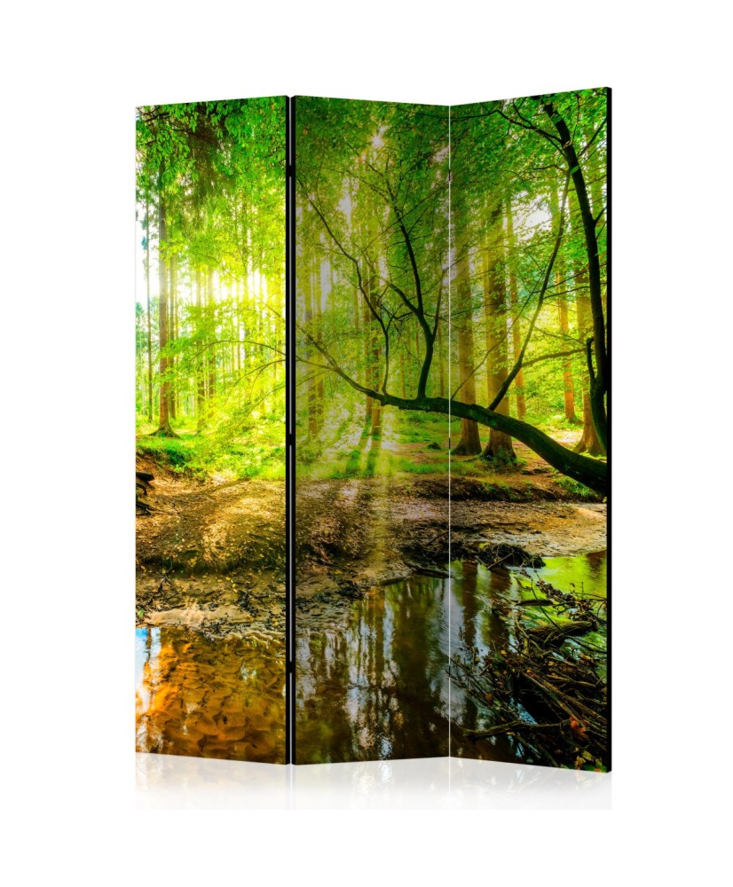 Pertvara  Forest Stream [Room Dividers]