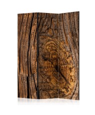 Pertvara  Old Tree [Room Dividers]