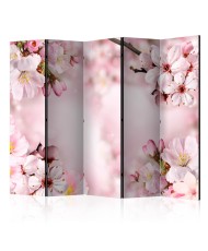 Pertvara  Spring Cherry Blossom II [Room Dividers]