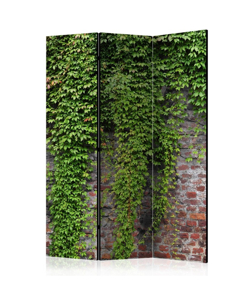 Pertvara  Brick and ivy [Room Dividers]