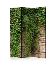 Pertvara  Ivy wall [Room Dividers]