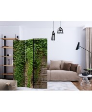 Pertvara  Ivy wall [Room Dividers]