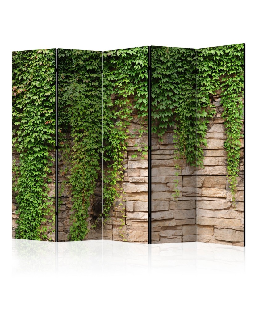 Pertvara  Ivy wall II [Room Dividers]