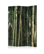 Pertvara  Bamboo Exotic [Room Dividers]