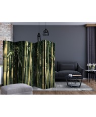 Pertvara  Bamboo Exotic II [Room Dividers]