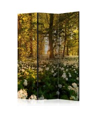Pertvara  Forest flora [Room Dividers]