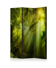 Pertvara   In a Secret Forest II [Room Dividers]