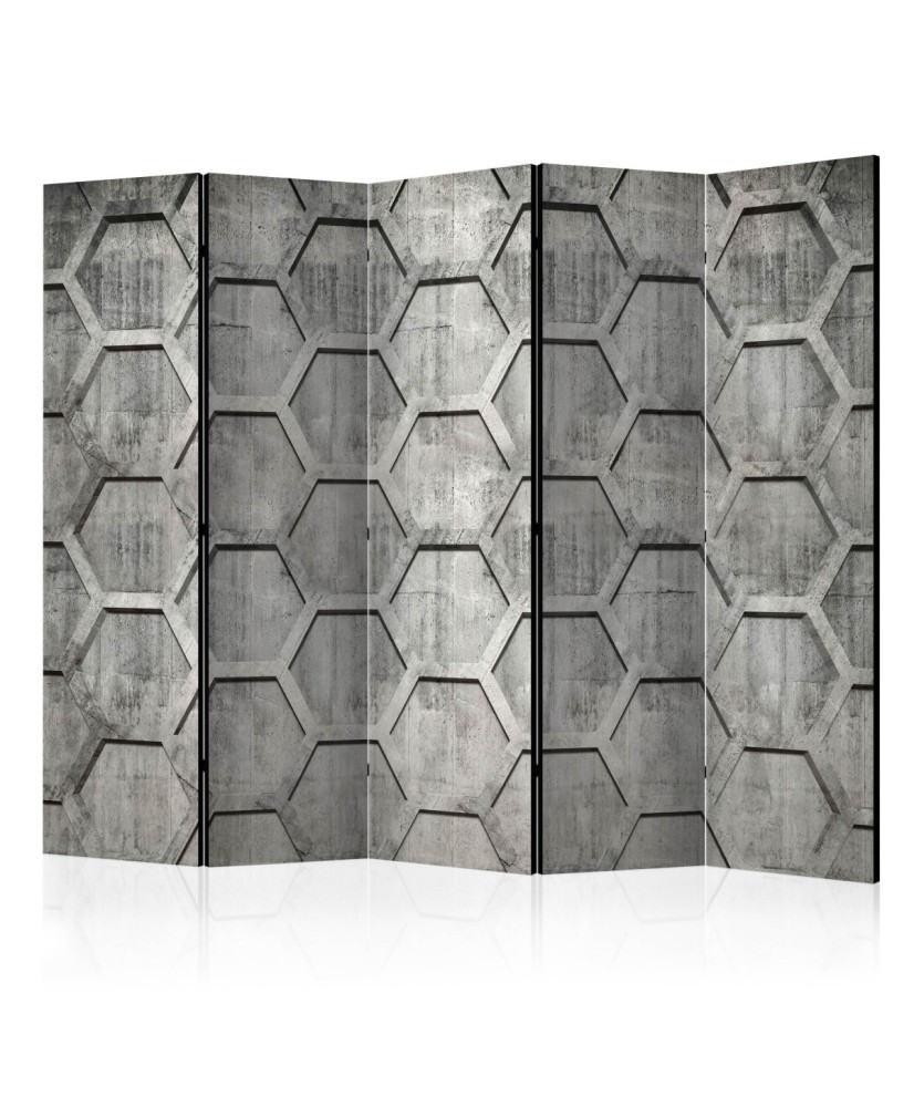 Pertvara  Platinum cubes II [Room Dividers]