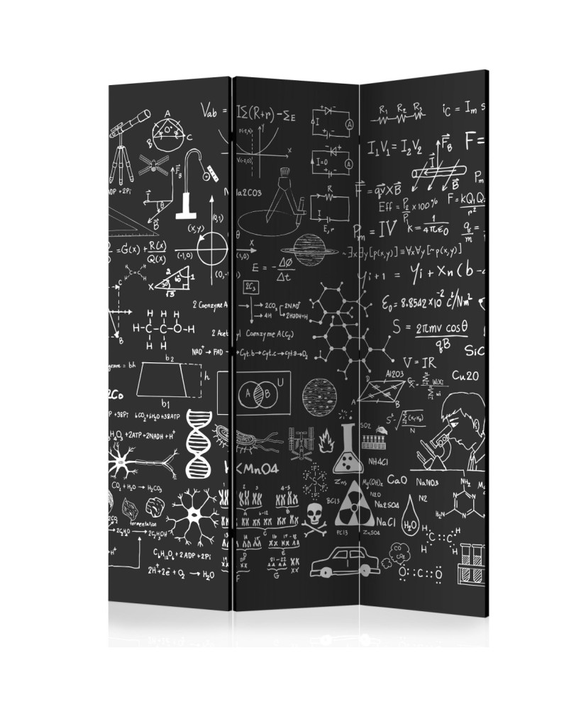 Pertvara  Science on Chalkboard [Room Dividers]