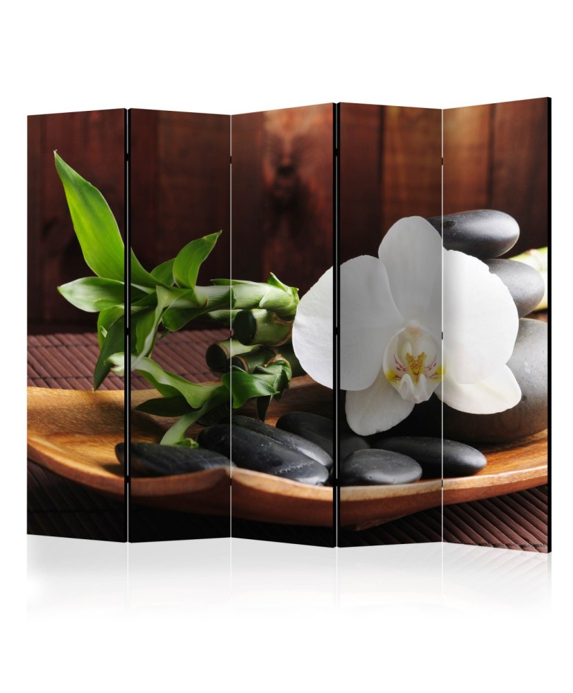 Pertvara  temple  zen II [Room Dividers]