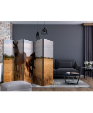 Pertvara  Horse and foal II [Room Dividers]