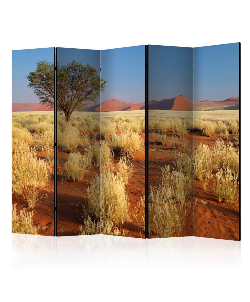 Pertvara  Desert landscape, Namibia II [Room Dividers]