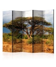 Pertvara  Samburu National Reserve, Kenya II [Room Dividers]