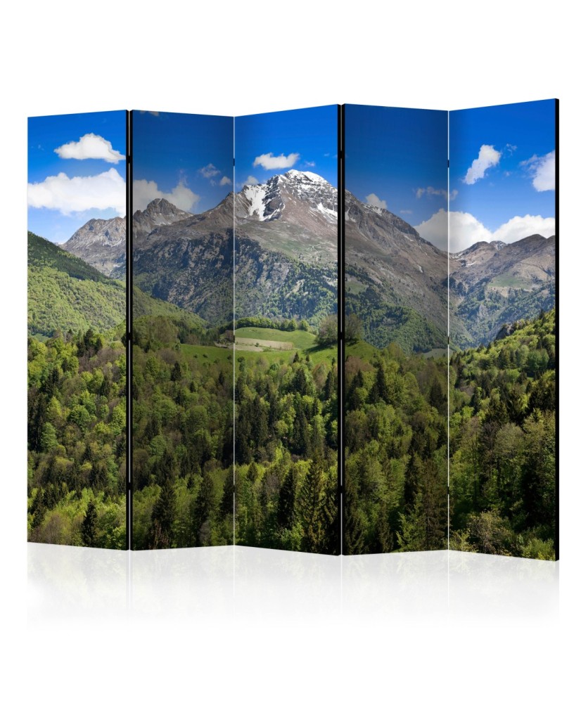 Pertvara  Holiday in the mountains II [Room Dividers]