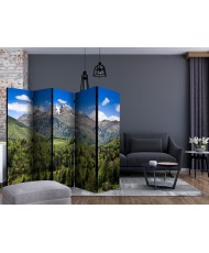 Pertvara  Holiday in the mountains II [Room Dividers]