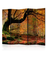 Pertvara  Autumn, forest and leaves II [Room Dividers]