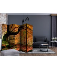 Pertvara  Autumn, forest and leaves II [Room Dividers]