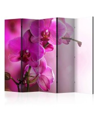 Pertvara  Pink orchid II [Room Dividers]