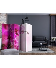 Pertvara  Pink orchid II [Room Dividers]