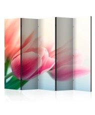 Pertvara  Spring and tulips II [Room Dividers]