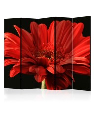 Pertvara  Red gerbera flower II [Room Dividers]