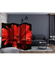 Pertvara  Red gerbera flower II [Room Dividers]