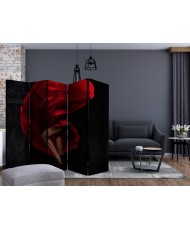 Pertvara  Flamenco dancer II [Room Dividers]