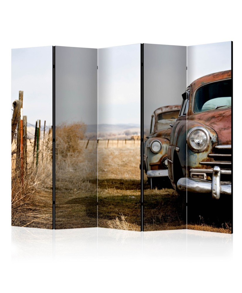 Pertvara  Two old, American cars II [Room Dividers]