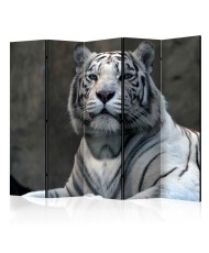 Pertvara  Bengali tiger in zoo II [Room Dividers]
