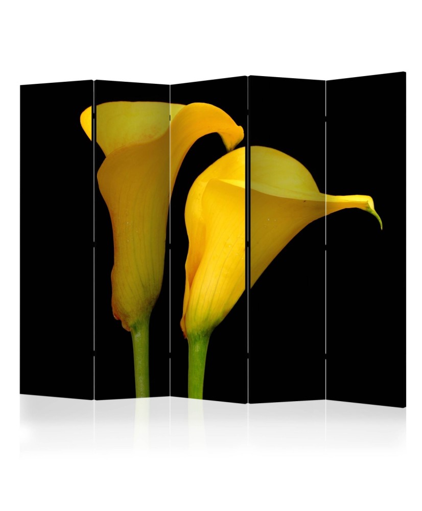 Pertvara  Two yellow calla flowers on a black background II [Room Dividers]