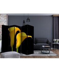 Pertvara  Two yellow calla flowers on a black background II [Room Dividers]