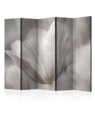 Pertvara  Tulip  black and white photo II [Room Dividers]