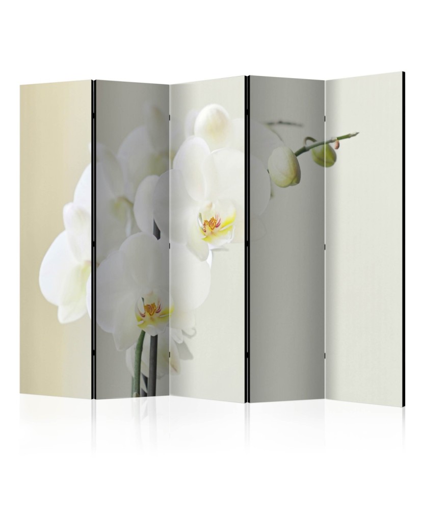 Pertvara  White orchid II [Room Dividers]