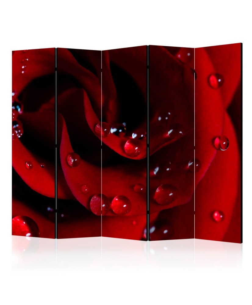 Pertvara  Red rose with water drops II [Room Dividers]