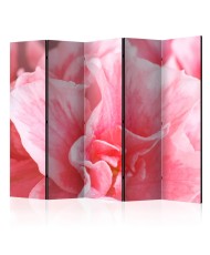 Pertvara  Pink azalea flowers II [Room Dividers]