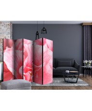 Pertvara  Pink azalea flowers II [Room Dividers]