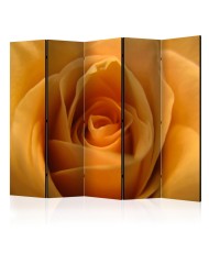 Pertvara  Yellow rose – a symbol of friendship II [Room Dividers]