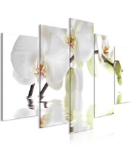 Paveikslas  Wonderful Orchid (5 Parts) Wide