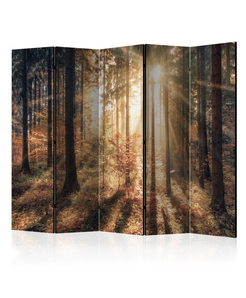 Pertvara  Autumnal Forest II [Room Dividers]