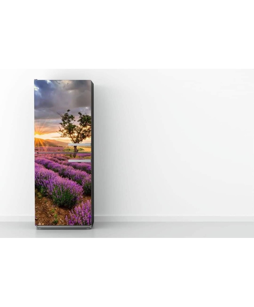 Magnetinis lipdukas ant šaldytuvo