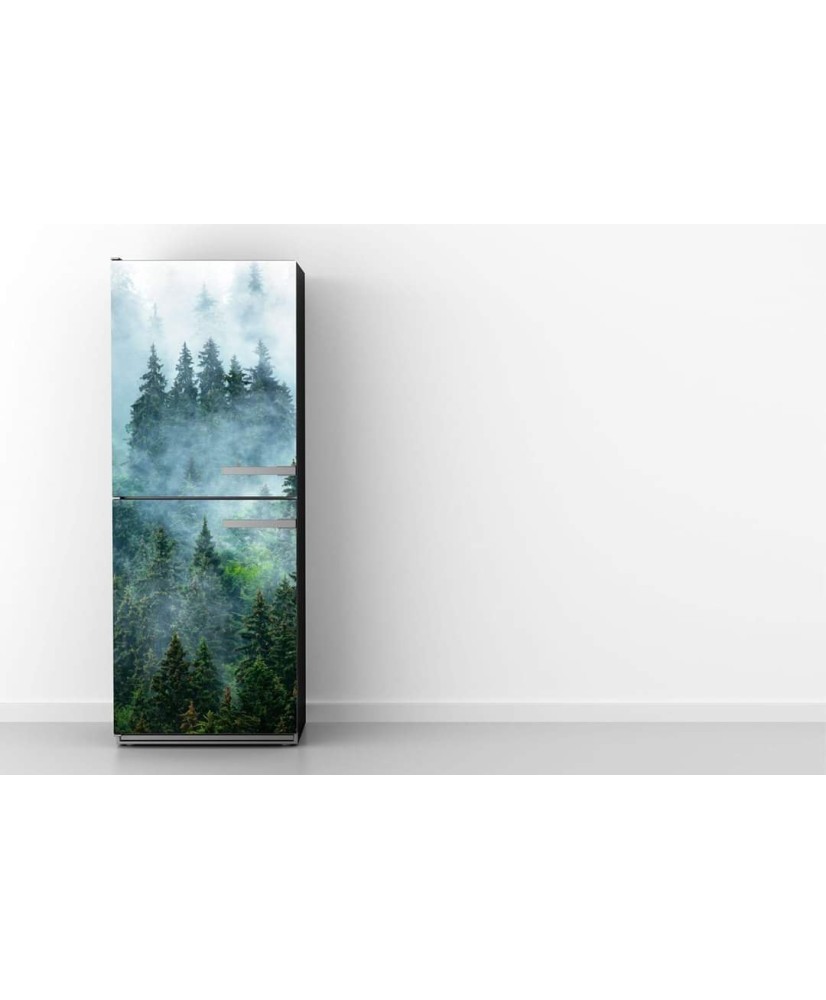 Magnetinis lipdukas ant šaldytuvo